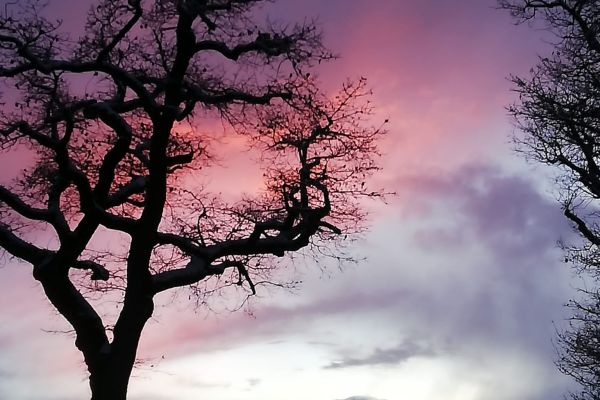 Pietra di Bismantova al Tramonto Rosa